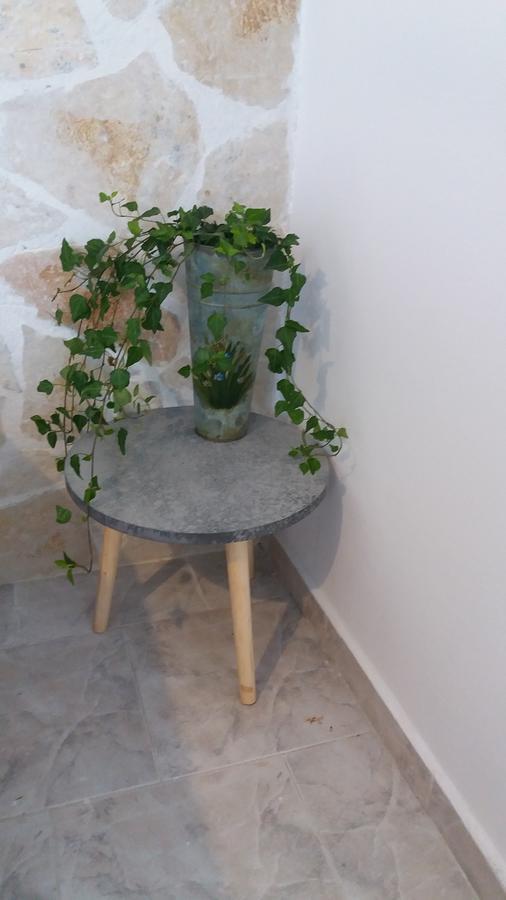 Anthi'S Cottage Kastellanoi  エクステリア 写真